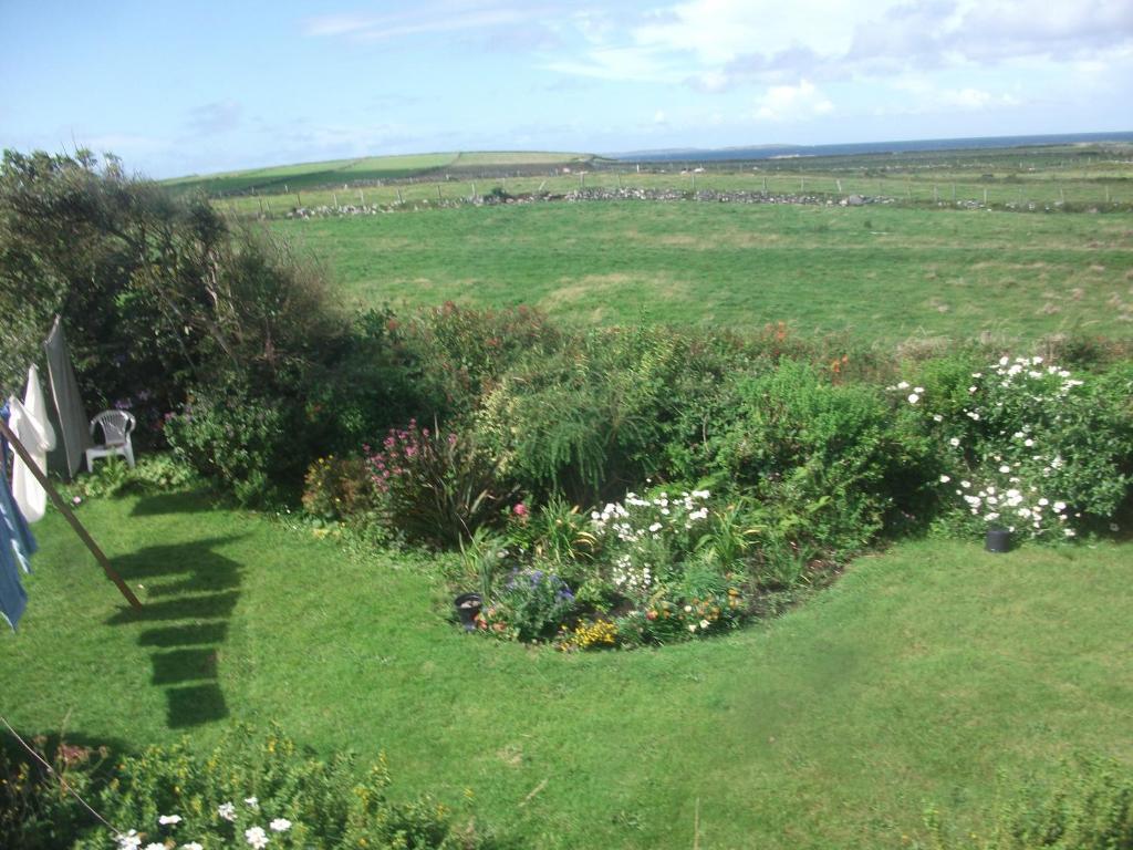 Fuchsia House Bed And Breakfast Connemara Renvyle Exterior photo